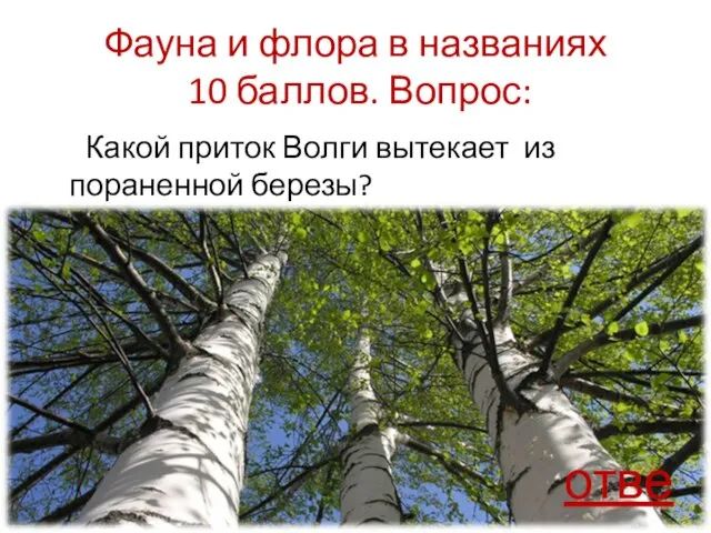 Фауна и флора в названиях 10 баллов. Вопрос: Какой приток Волги вытекает из пораненной березы? ответ