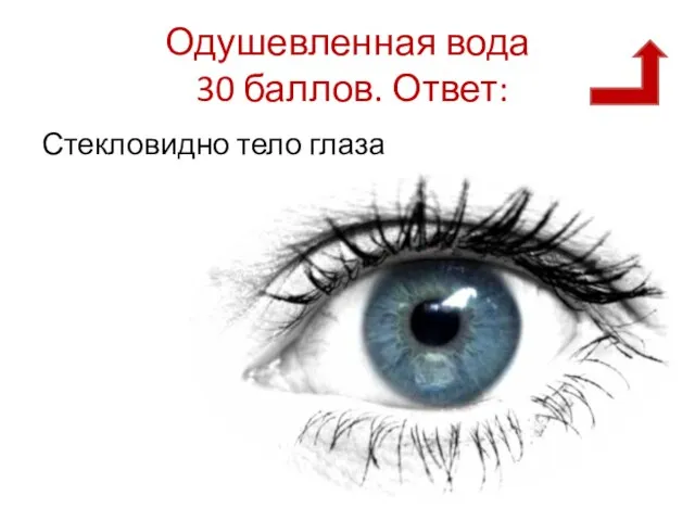 Одушевленная вода 30 баллов. Ответ: Стекловидно тело глаза