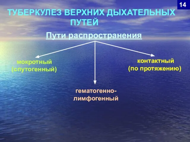 мокротный (спутогенный) гематогенно- лимфогенный ТУБЕРКУЛЕЗ ВЕРХНИХ ДЫХАТЕЛЬНЫХ ПУТЕЙ контактный (по протяжению) Пути распространения 14