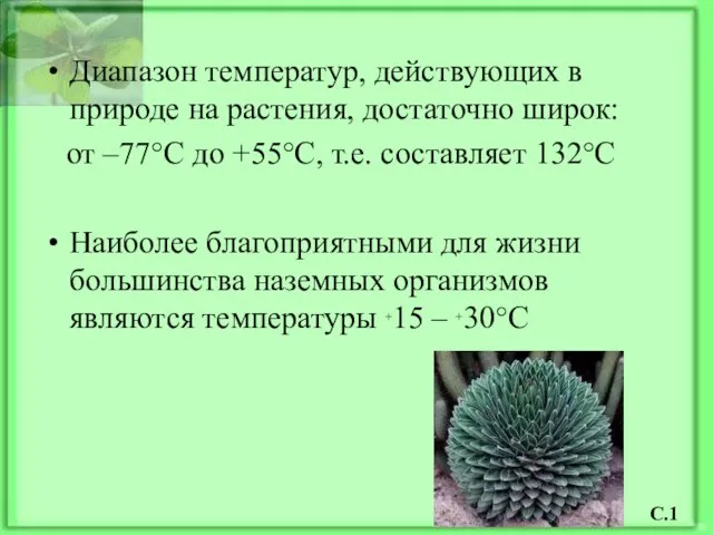 Диапазон температур, действующих в природе на растения, достаточно широк: от –77°С