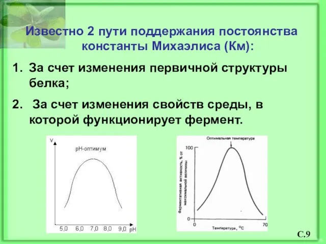 Известно 2 пути поддержания постоянства константы Михаэлиса (Км): За счет изменения