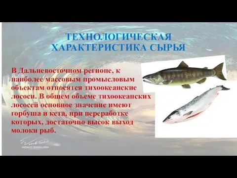 ТЕХНОЛОГИЧЕСКАЯ ХАРАКТЕРИСТИКА СЫРЬЯ В Дальневосточном регионе, к наиболее массовым промысловым объектам