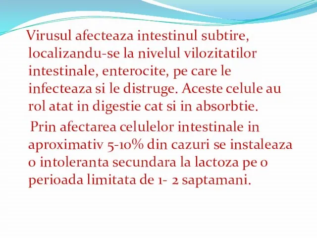 Virusul afecteaza intestinul subtire, localizandu-se la nivelul vilozitatilor intestinale, enterocite, pe