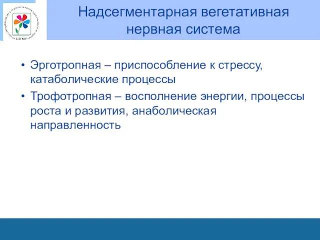 Надсегментарная вегетативная нервная система Эрготропная – приспособление к стрессу, катаболические процессы