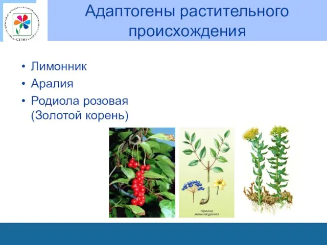 Адаптогены растительного происхождения Лимонник Аралия Родиола розовая (Золотой корень)