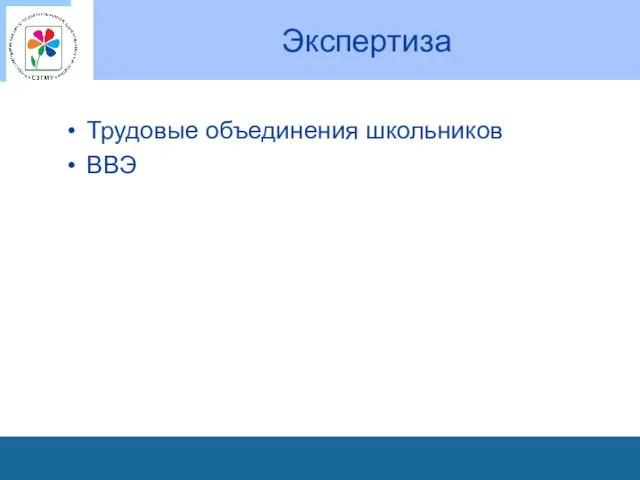 Экспертиза Трудовые объединения школьников ВВЭ