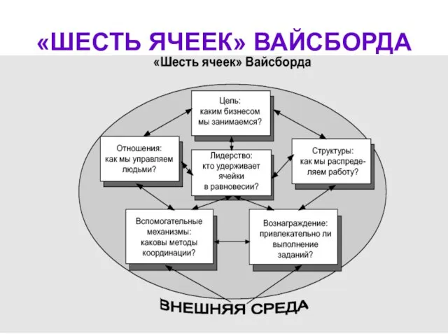 «ШЕСТЬ ЯЧЕЕК» ВАЙСБОРДА