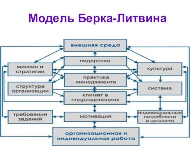 Модель Берка-Литвина