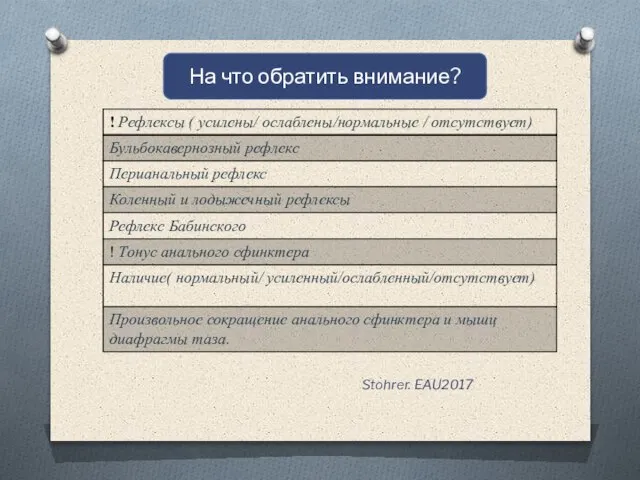 Stohrer. EAU2017 На что обратить внимание?