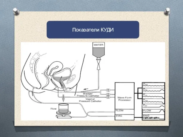 Показатели КУДИ