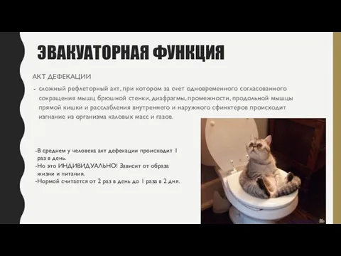 ЭВАКУАТОРНАЯ ФУНКЦИЯ АКТ ДЕФЕКАЦИИ сложный рефлеторный акт, при котором за счет