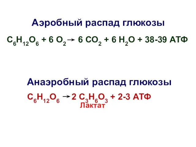 Аэробный распад глюкозы С6Н12О6 + 6 О2 6 СО2 + 6