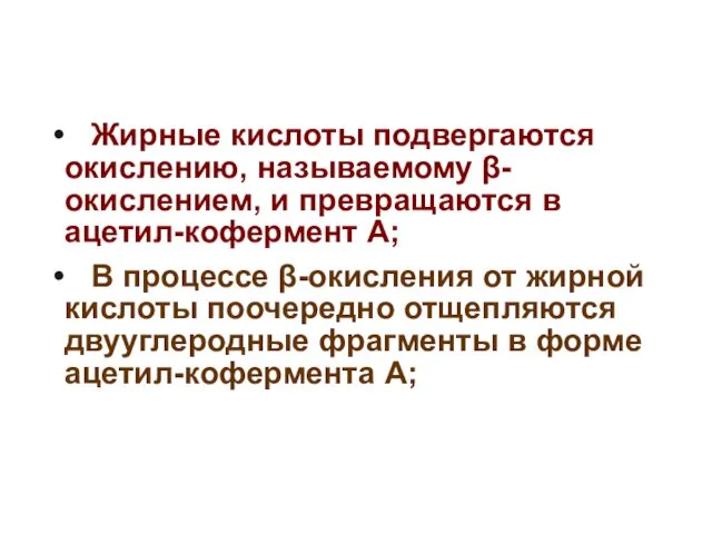 Жирные кислоты подвергаются окислению, называемому β-окислением, и превращаются в ацетил-кофермент А;