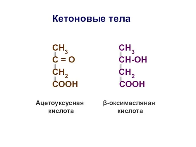 Кетоновые тела СН3 СН3 С = О СН-ОН СН2 СН2 СООН СООН Ацетоуксусная кислота β-оксимасляная кислота