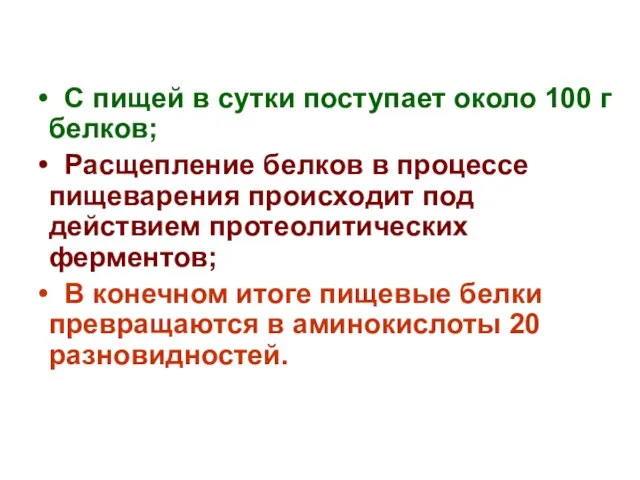 С пищей в сутки поступает около 100 г белков; Расщепление белков