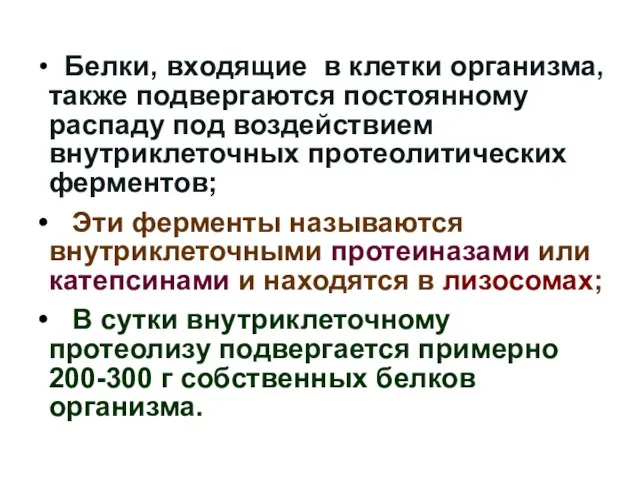 Белки, входящие в клетки организма, также подвергаются постоянному распаду под воздействием