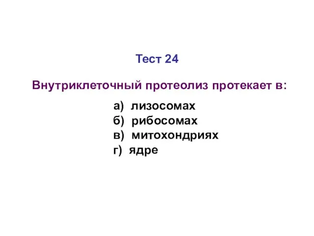 Тест 24 Внутриклеточный протеолиз протекает в: а) лизосомах б) рибосомах в) митохондриях г) ядре