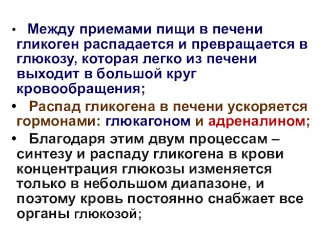 Между приемами пищи в печени гликоген распадается и превращается в глюкозу,