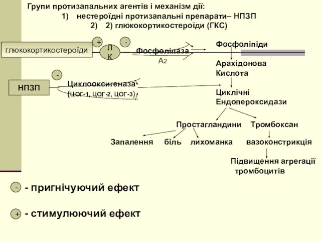 Групи протизапальних агентів і механізм дії: нестероїдні протизапальні препарати– НПЗП 2)