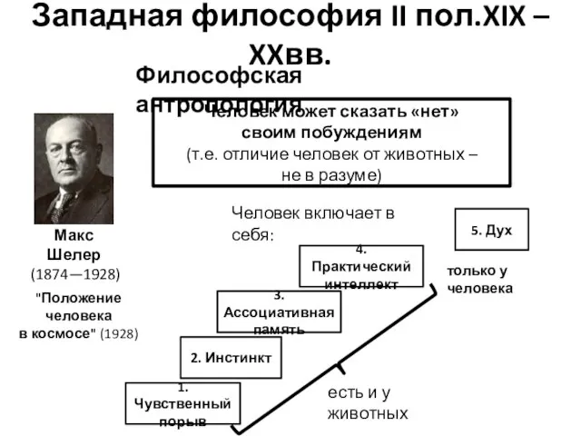 Западная философия II пол.XIX – XXвв. Философская антропология Макс Шелер (1874—1928)