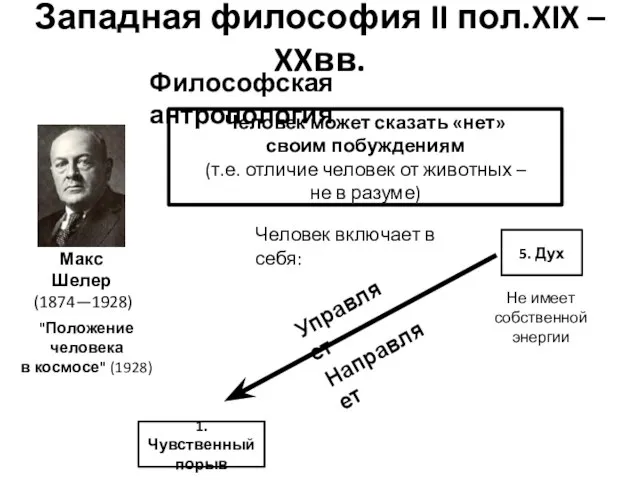 Западная философия II пол.XIX – XXвв. Философская антропология Макс Шелер (1874—1928)