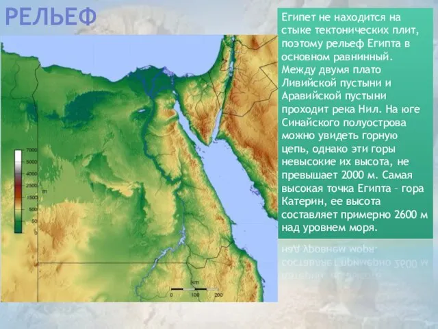 РЕЛЬЕФ Египет не находится на стыке тектонических плит, поэтому рельеф Египта