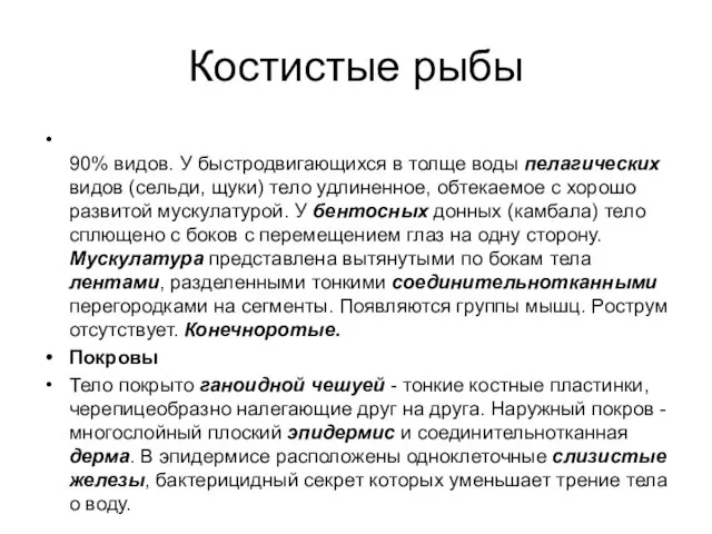 Костистые рыбы 90% видов. У быстродвигающихся в толще воды пелагических видов