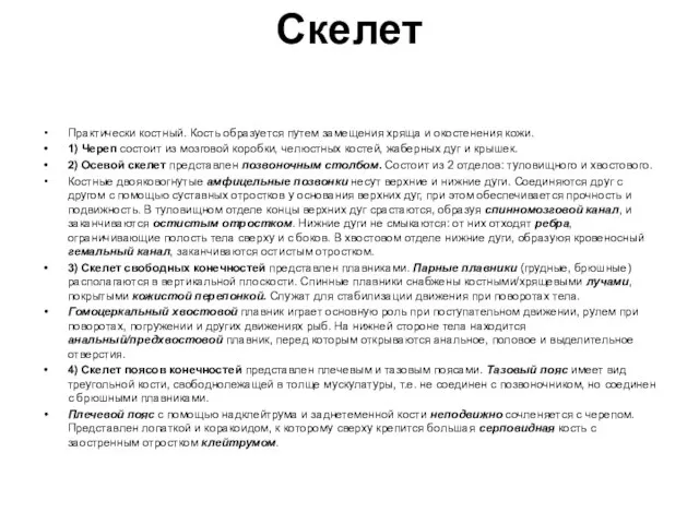 Скелет Практически костный. Кость образуется путем замещения хряща и окостенения кожи.