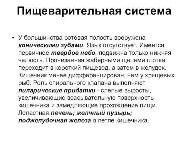 Пищеварительная система У большинства ротовая полость вооружена коническими зубами. Язык отсутствует.