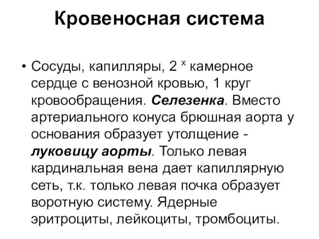 Кровеносная система Сосуды, капилляры, 2 х камерное сердце с венозной кровью,