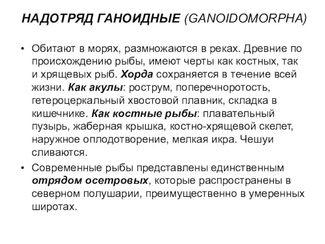 НАДОТРЯД ГАНОИДНЫЕ (GANOIDOMORPHA) Обитают в морях, размножаются в реках. Древние по