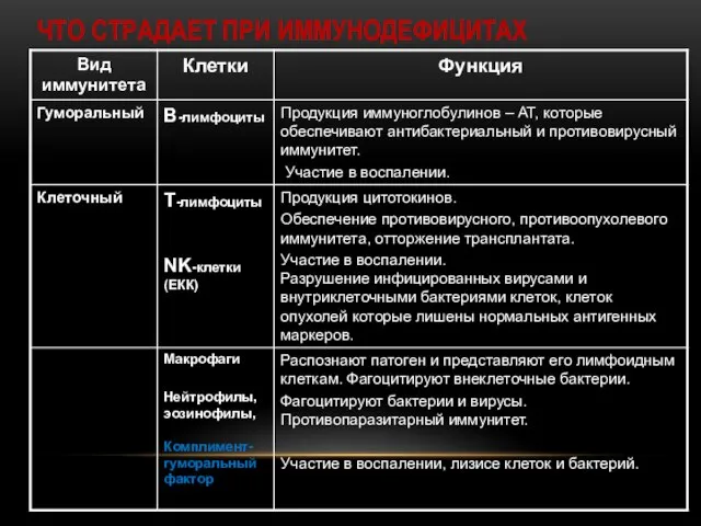 ЧТО СТРАДАЕТ ПРИ ИММУНОДЕФИЦИТАХ