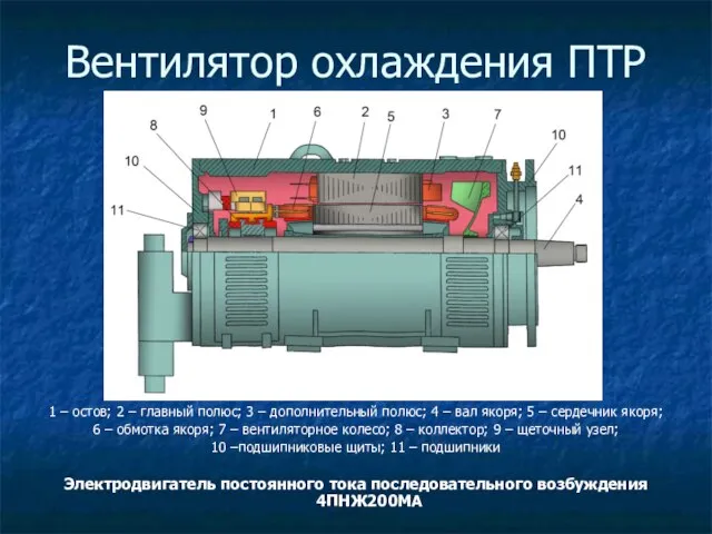 Вентилятор охлаждения ПТР 1 – остов; 2 – главный полюс; 3