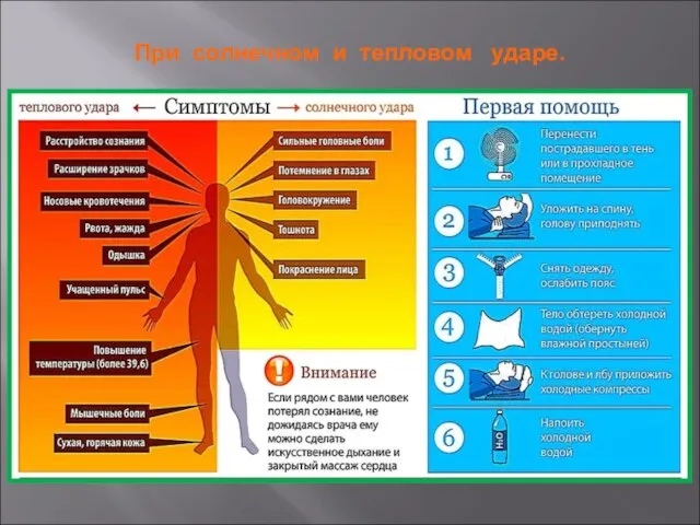 При солнечном и тепловом ударе.