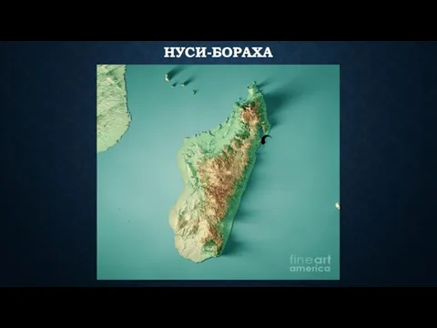 НУСИ-БОРАХА