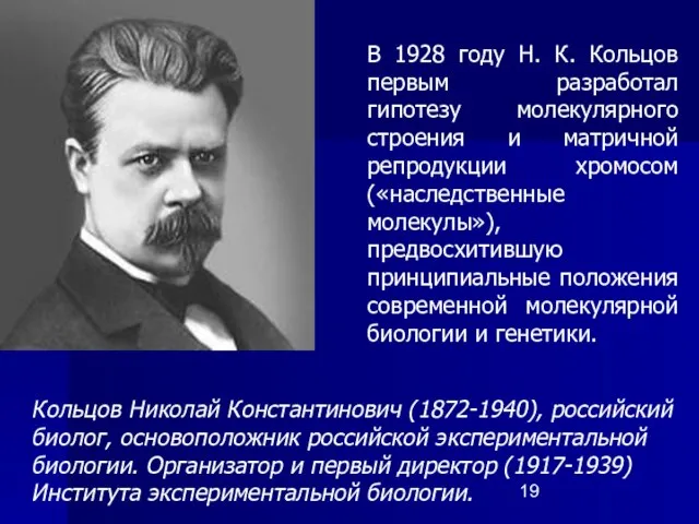 В 1928 году Н. К. Кольцов первым разработал гипотезу молекулярного строения