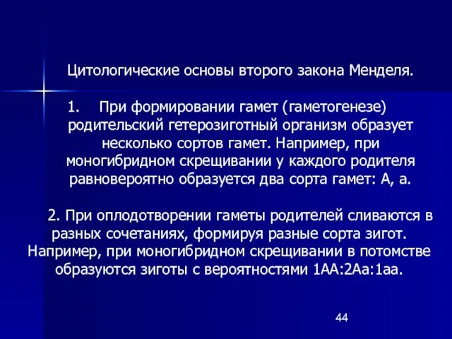 Цитологические основы второго закона Менделя. При формировании гамет (гаметогенезе) родительский гетерозиготный