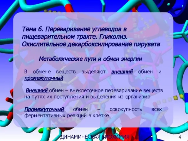 Тема 6. Переваривание углеводов в пищеварительном тракте. Гликолиз. Окислительное декарбоксилирование пирувата