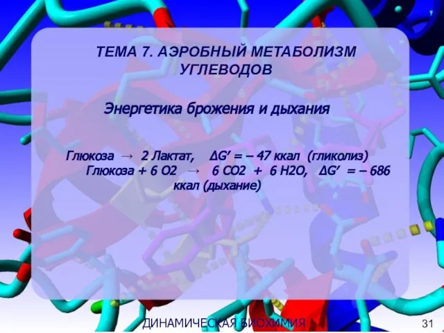 3 ДИНАМИЧЕСКАЯ БИОХИМИЯ ТЕМА 7. АЭРОБНЫЙ МЕТАБОЛИЗМ УГЛЕВОДОВ Энергетика брожения и