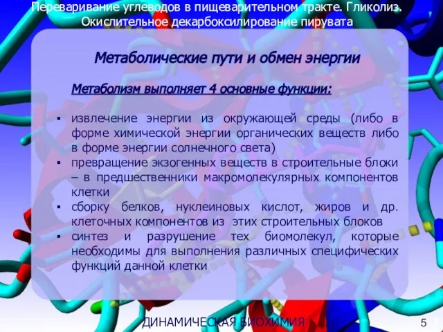 Переваривание углеводов в пищеварительном тракте. Гликолиз. Окислительное декарбоксилирование пирувата Метаболические пути