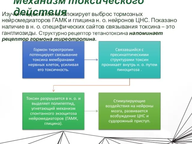 Механизм токсического действия Изучен недостаточно. Блокирует выброс тормозных нейромедиаторов ГАМК и