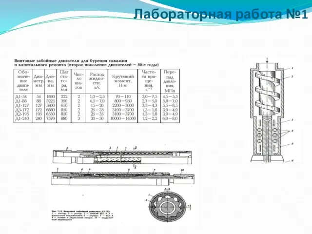 Лабораторная работа №1