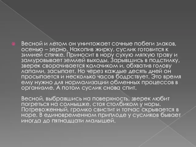 Весной и летом он уничтожает сочные побеги злаков, осенью – зерно.