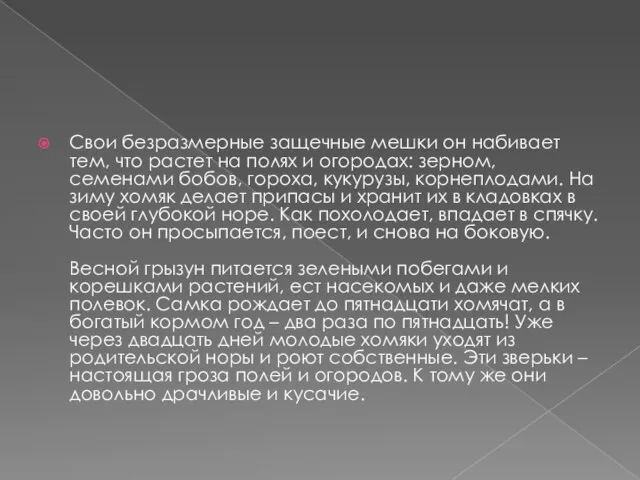 Свои безразмерные защечные мешки он набивает тем, что растет на полях