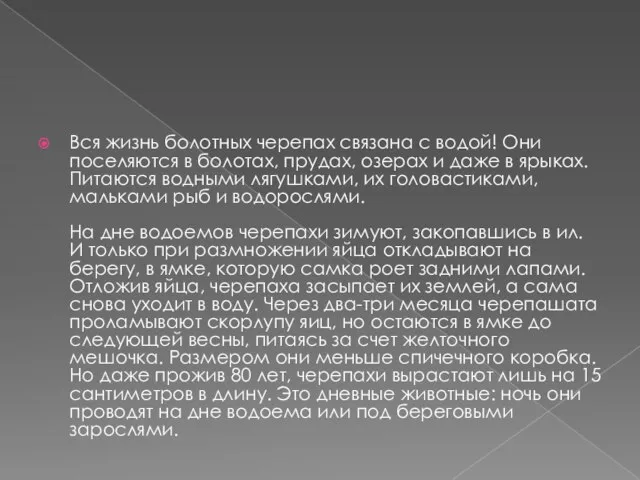 Вся жизнь болотных черепах связана с водой! Они поселяются в болотах,