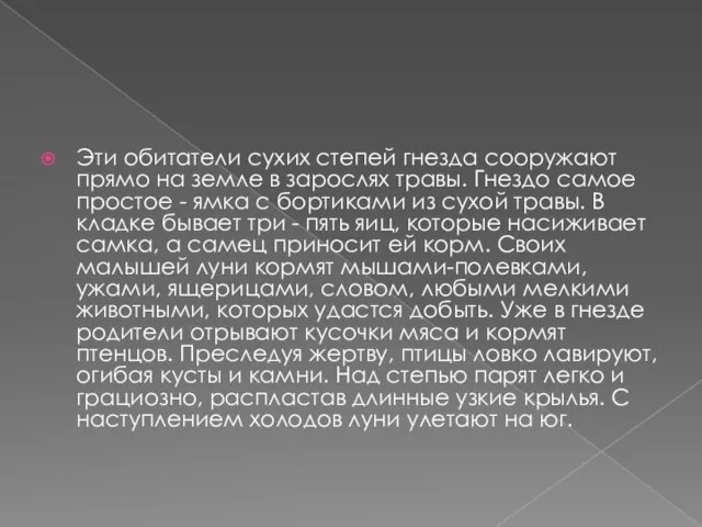 Эти обитатели сухих степей гнезда сооружают прямо на земле в зарослях