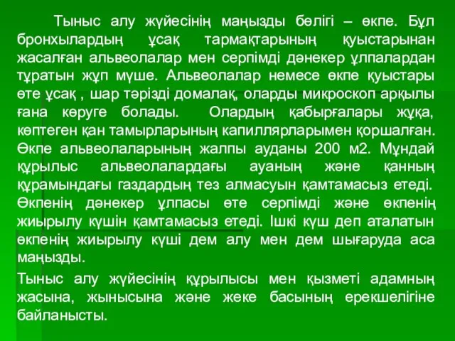 Тыныс алу жүйесінің маңызды бөлігі – өкпе. Бұл бронхылардың ұсақ тармақтарының