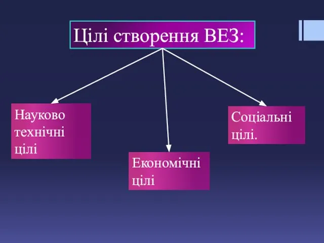 Цілі створення ВЕЗ: Економічні цілі Науково технічні цілі Соціальні цілі.