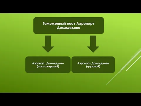 Таможенный пост Аэропорт Домодедово Аэропорт Домодедово(пассажирский) Аэропорт Домодедово(грузовой)