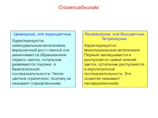 Олимпиадникам: Цимоидные, или верхоцветные. Характеризуются симподиальным ветвлением, верхушечный рост главной оси